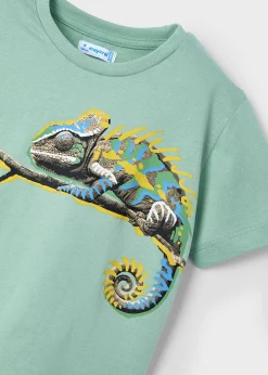 Best Camiseta camaleón niño Camisetas
