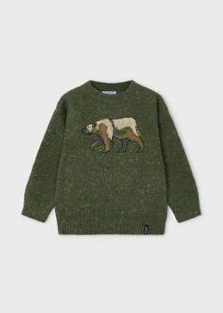 Fashion Jersey oso intarsia niño Jerséis