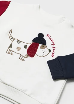 Flash Sale Sudadera combinada bebé Jerséis Y Sudaderas